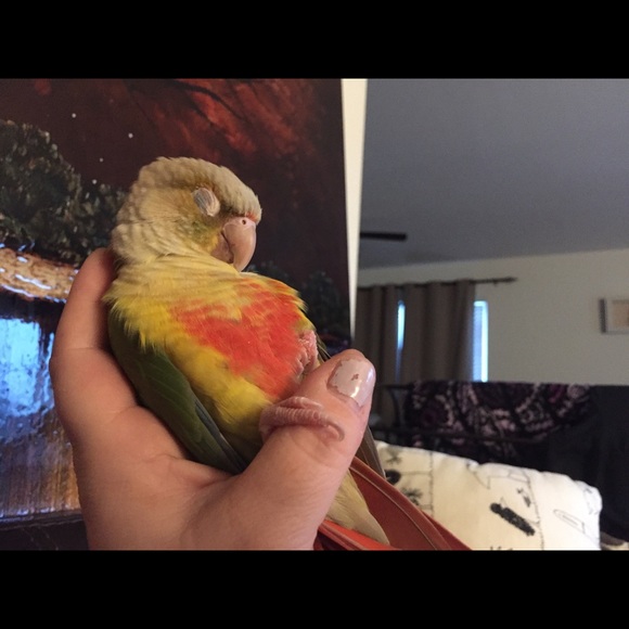 Meet your Posher, Rikki! - Picture 9 of 11